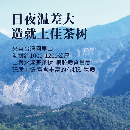 阿里山乌龙300g 商品图1