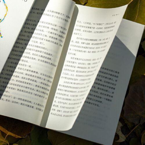 奇遇：我在罗马尼亚杀了一只狗（秘鲁）克劳迪娅·乌略亚·多诺索 著 商品图4