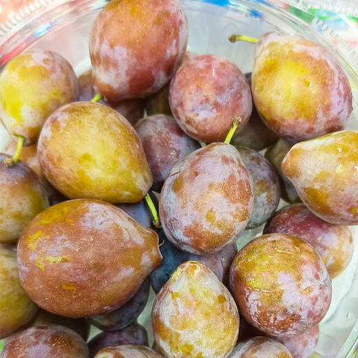 新疆西梅（小礼盒）1.7kg装 商品图2