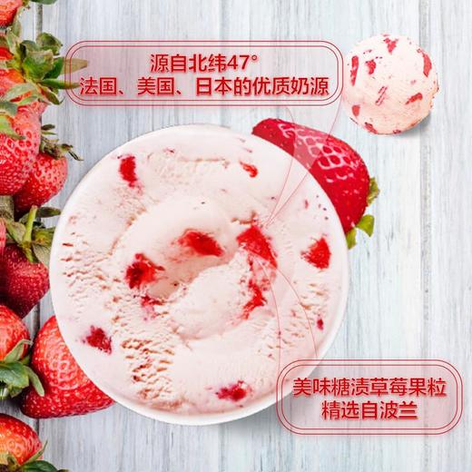 哈根达斯草莓味冰淇淋392g/杯 商品图3