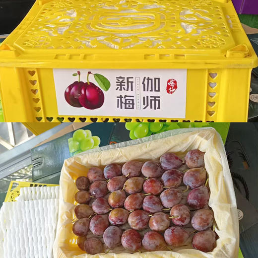 新疆西梅（小礼盒）1.7kg装 商品图0
