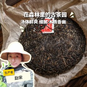 生态古树生普茶饼| 合作生产 * Eco-Sampu tea | Coproduction