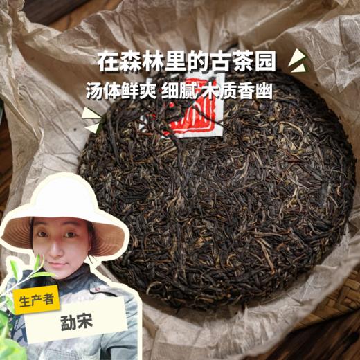 生态古树生普茶饼| 合作生产 * Eco-Sampu tea | Coproduction 商品图0