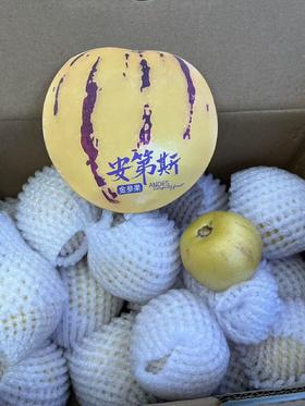 云南火山岩人参果大果（一箱3斤）