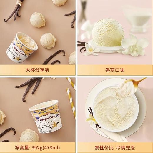 哈根达斯香草味冰淇淋392g/杯 商品图4