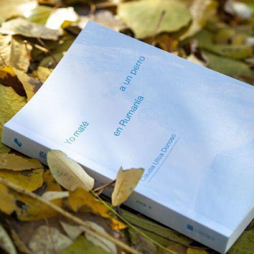 奇遇：我在罗马尼亚杀了一只狗（秘鲁）克劳迪娅·乌略亚·多诺索 著 商品图3