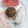 江小傲 猫粮无谷营养猫条高蛋白猫泥猫咪零食湿粮通用主粮4斤1袋装 商品缩略图2