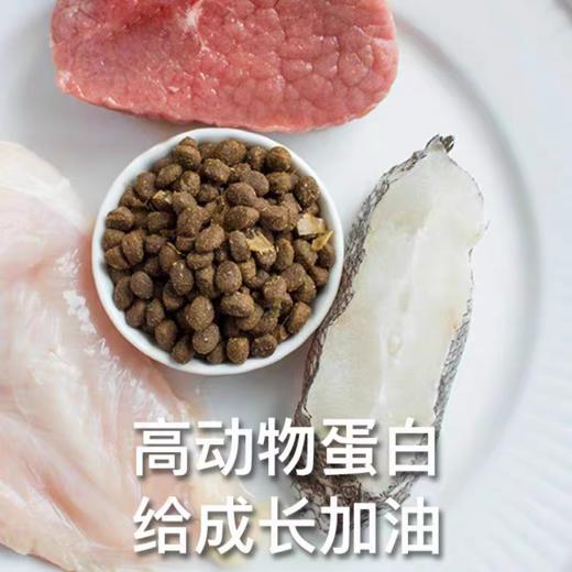 江小傲 猫粮无谷营养猫条高蛋白猫泥猫咪零食湿粮通用主粮4斤1袋装 商品图2