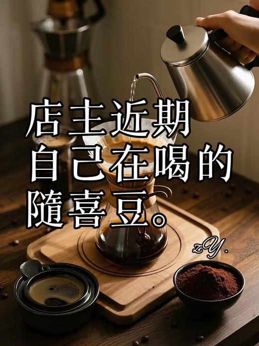 店主近期自己在喝的豆子 商品图0