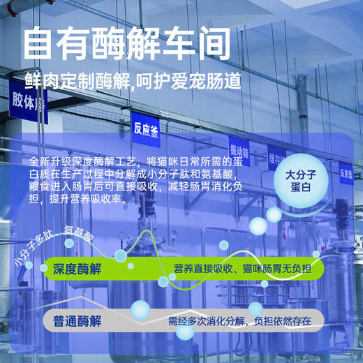 阿飞和巴弟 e76猫粮全价无谷益生菌成幼猫主粮高蛋白增肥发腮干粮2kg 商品图3