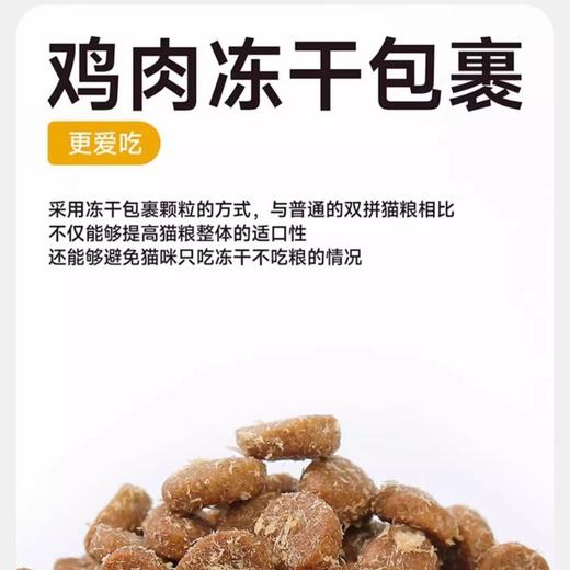 纯福 【 幼猫猫粮1kg】全价无谷酶解幼猫全期猫干粮正品1袋 商品图4