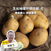 生态羊粪土豆 | 合作生产* Eco- potato | Coproduction 商品缩略图0