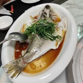 13条开肚鱼海鲈鱼700g-800g