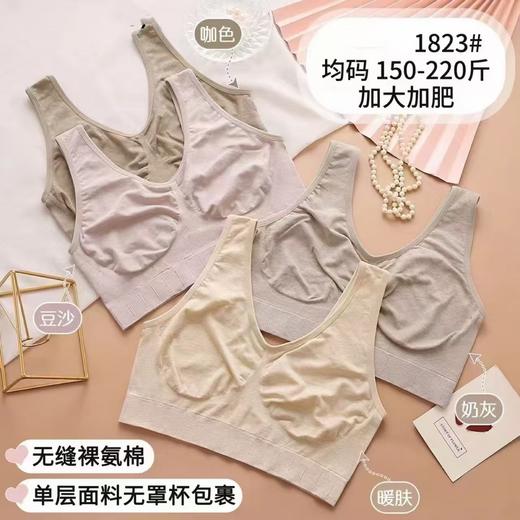 LS竹纤维单层加肥妈妈款内衣1823 商品图0