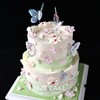 1027CAKE |  粉绿色  裱花蛋糕  春日蝴蝶 商品缩略图2