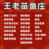 【王老苗鱼庄-南洲国际星岸店】 10-15人餐 商品缩略图5