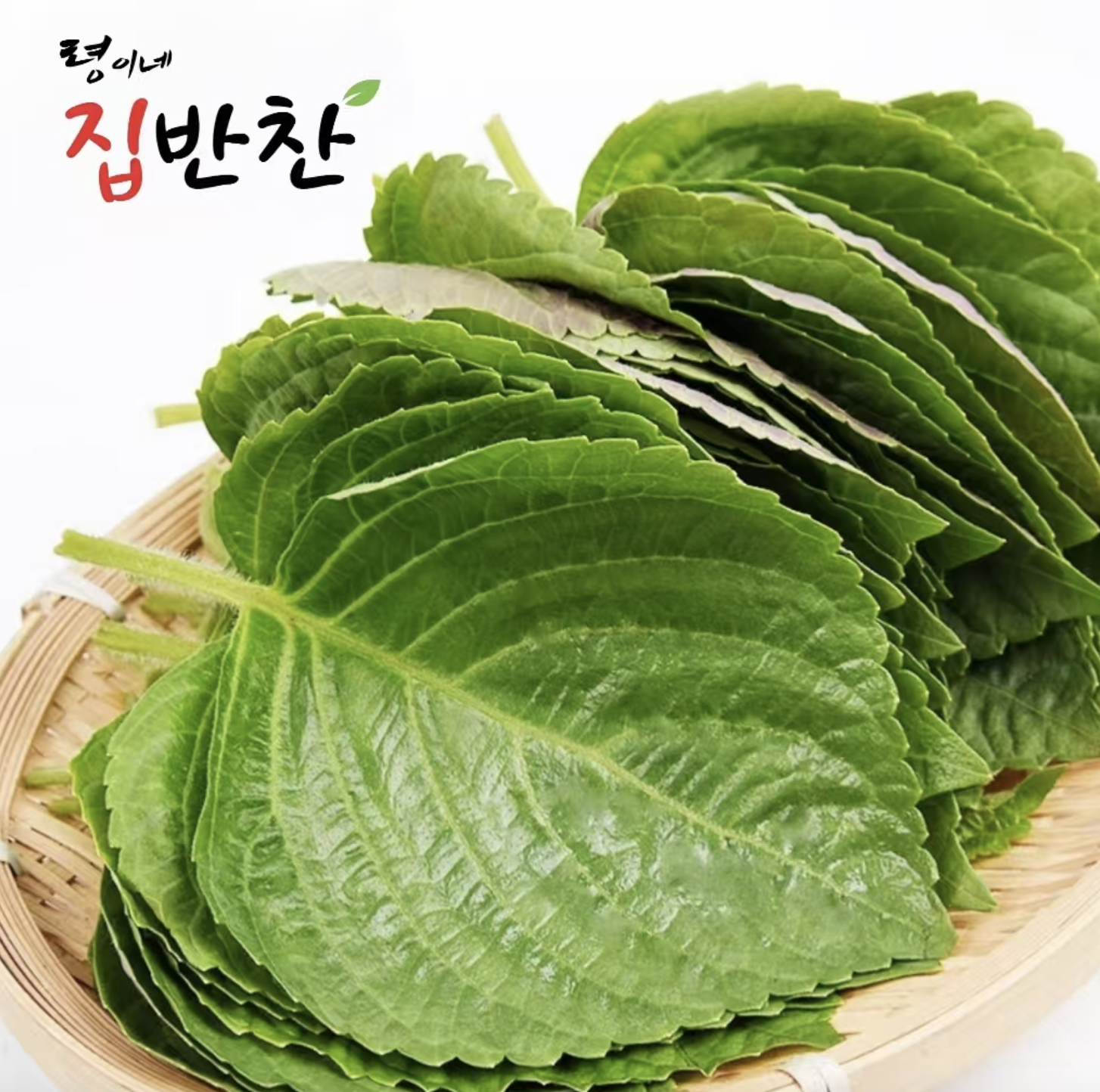 玲儿家小菜 鲜苏子叶20P 령이네반찬 생깻잎20P