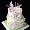 1027CAKE |  粉绿色  裱花蛋糕  春日蝴蝶 商品缩略图1