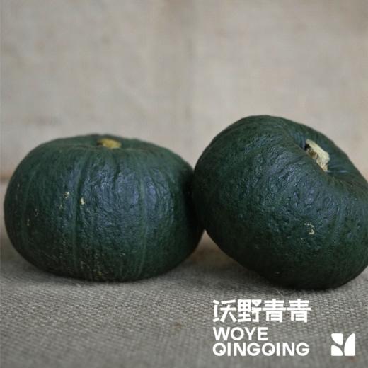沃野青青自产露天生态小南瓜，4斤 | 有机方式种植，粉糯甘甜，果肉细腻 商品图2
