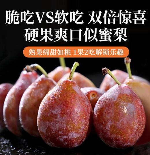 新疆法兰西西梅500g左右 商品图0