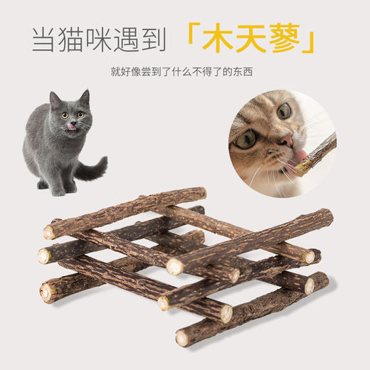 木天蓼长白山野生 3根/袋 去毛球清洁口腔 洁齿磨牙棒猫咬棒猫薄荷 商品图1