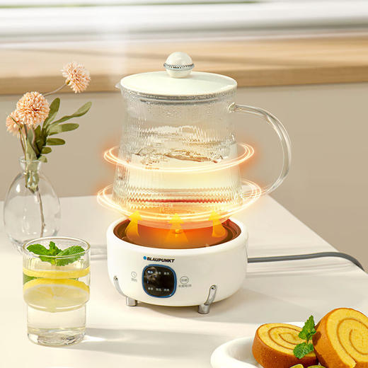 【多样屋专柜】蓝宝全玻璃养生壶恒温壶 办公室多功能煮茶壶1.2L 商品图2