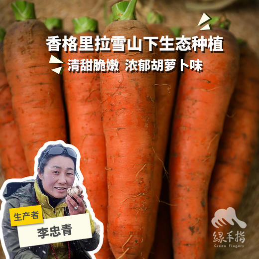 生态胡萝卜（云南，韵达）| 合作生产*Eco carrot | Partner Production 商品图0