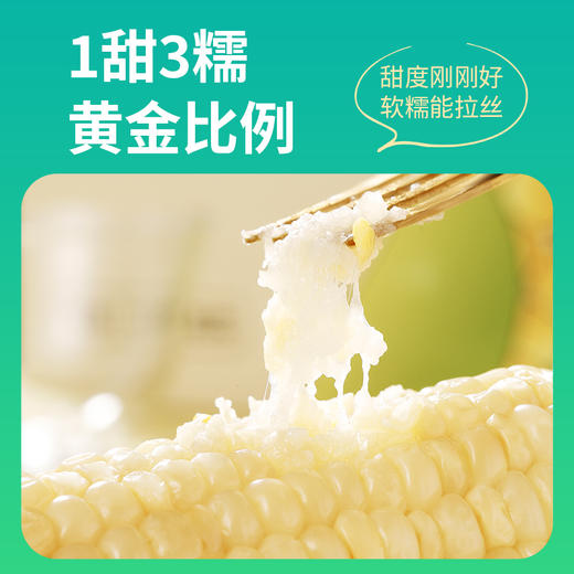 玉膳坊甜糯玉米4根 商品图1