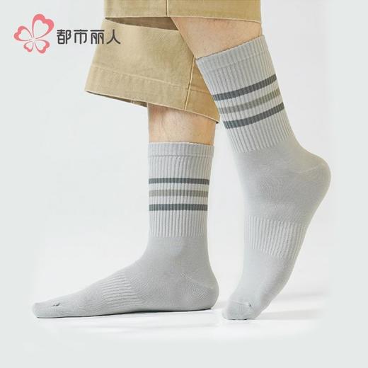 都市丽人袜子男士袜子高含棉男袜子男士中筒袜FCHDD6 商品图0