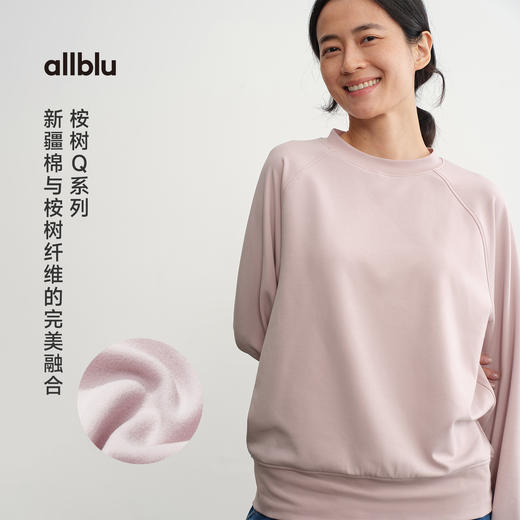 【秋Vol.4】allblu女装【桉树Q】25秋"力荐惊艳体感"圆领插肩袖卫衣ZY 商品图1