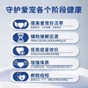 NiYa妮吖宠物牛初乳猫咪增强免疫营养膏乳铁蛋白犬猫补充剂30ml 商品缩略图3