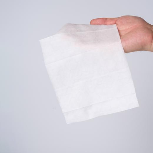 金竹湿厕纸200mm*150mm*80片 4包 商品图5