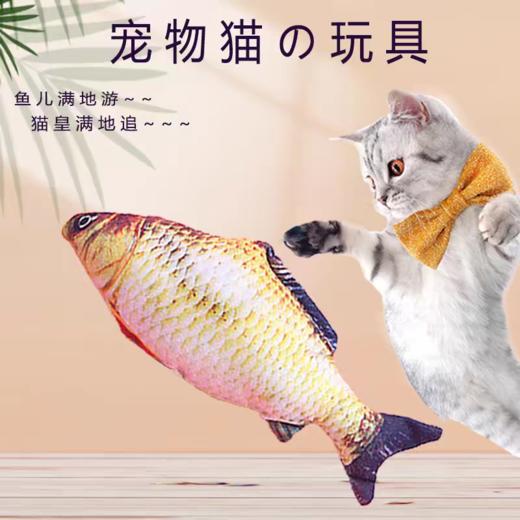 宠物毛绒仿真鱼含猫薄荷猫玩具鲫鱼逗猫咪玩具1个 商品图2