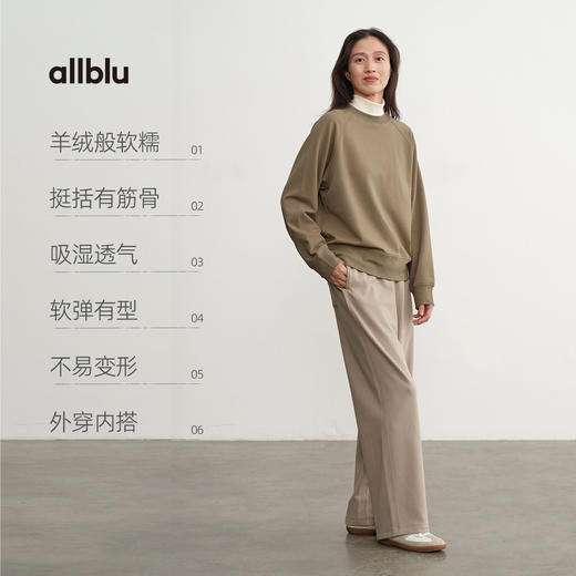 【秋Vol.4】allblu女装【桉树Q】25秋"力荐惊艳体感"圆领插肩袖卫衣ZY 商品图2