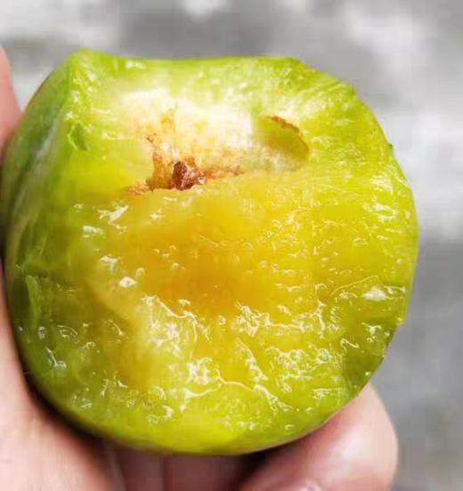 水果优选-建宁油奈，果大核小，醉好吃的时节到了（坏果1个赔付2元） 商品图3