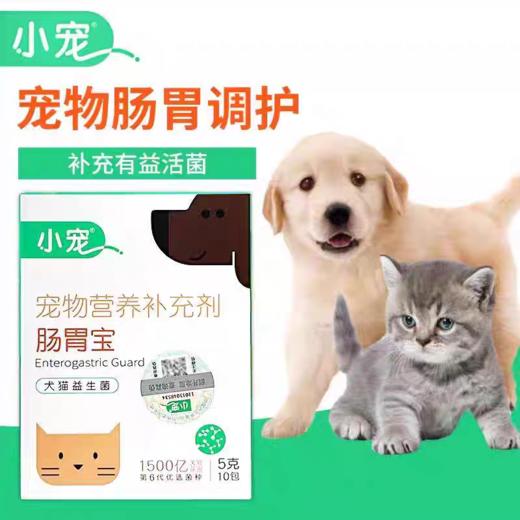 小宠肠胃宝猫咪益生菌狗狗肠胃调理宠物幼犬调理猫专用高活营养补充剂 商品图0