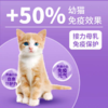 冠/能猫粮幼年期全价猫粮400g优护蓝猫虎斑布偶全猫营养主粮 商品缩略图2
