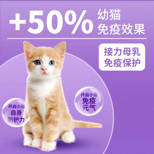 冠/能猫粮幼年期全价猫粮400g优护蓝猫虎斑布偶全猫营养主粮 商品图2