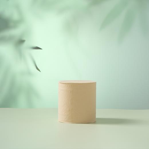 金竹阳光医护母婴级本色卫生纸104mm*138mm*4层 170g/卷（无芯） 24卷/箱 商品图3