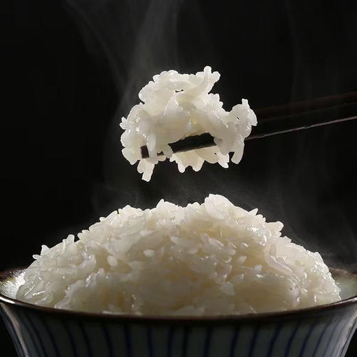 西域羊脂籽米（大米）新疆发货 商品图2