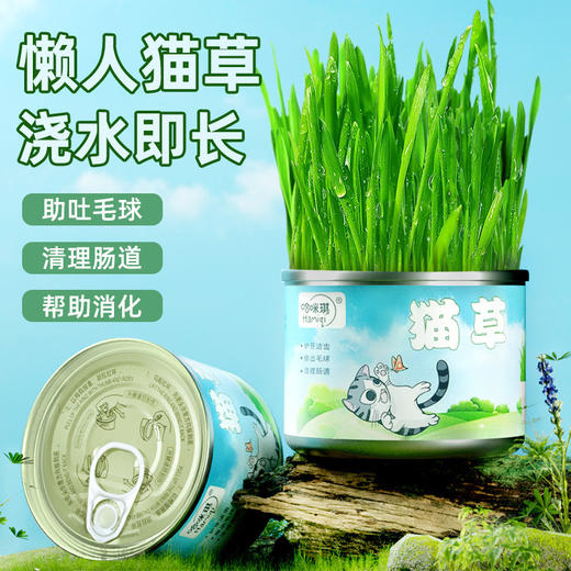 哈咪琪猫咪猫草罐头懒人种植套装成猫幼猫草化毛球养殖罐30g 商品图0