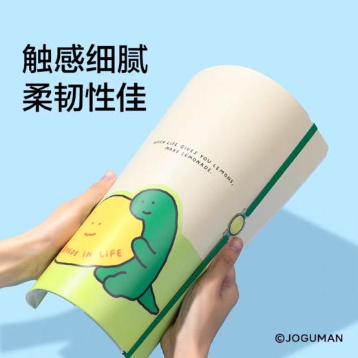 纽赛乔古曼收纳资料册 商品图4