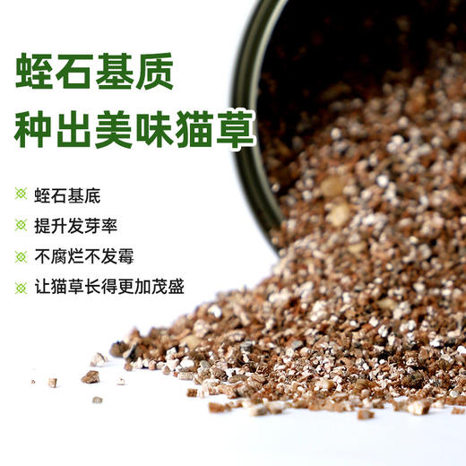 哈咪琪猫咪猫草罐头懒人种植套装成猫幼猫草化毛球养殖罐30g 商品图2