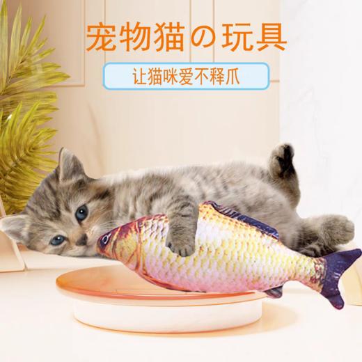 宠物毛绒仿真鱼含猫薄荷猫玩具鲫鱼逗猫咪玩具1个 商品图0