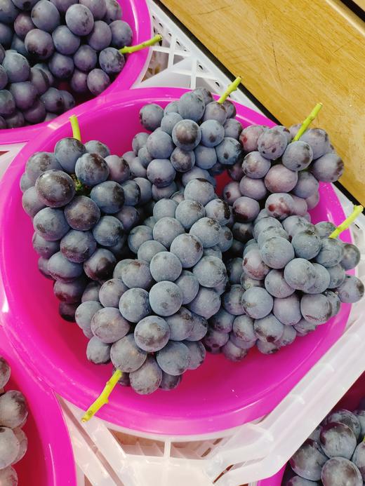 采摘园葡萄2斤 商品图0