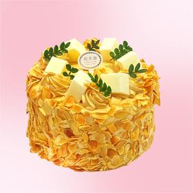 秋日上新焦糖玛奇朵蛋糕