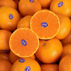 进口澳橘5个装（960g左右）