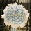 33枝/55枝/99枝碎冰蓝玫瑰  • 鲜花花束 商品缩略图0