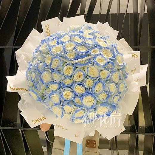 33枝/55枝/99枝碎冰蓝玫瑰  • 鲜花花束 商品图0