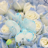 19枝碎冰蓝玫瑰  • 鲜花花束 商品缩略图1